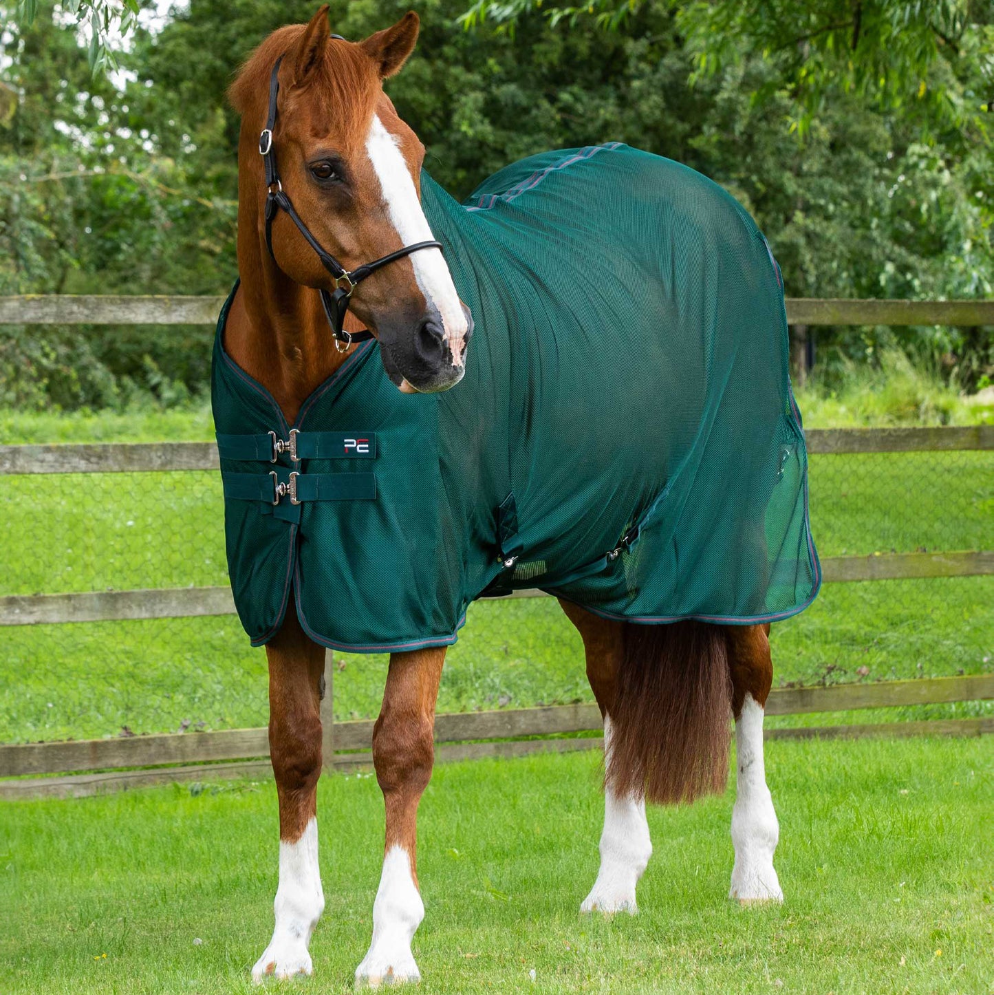 Couverture Séchante Premier Equine Mesh Ventoso – Refroidissement Efficace et Confort Estival