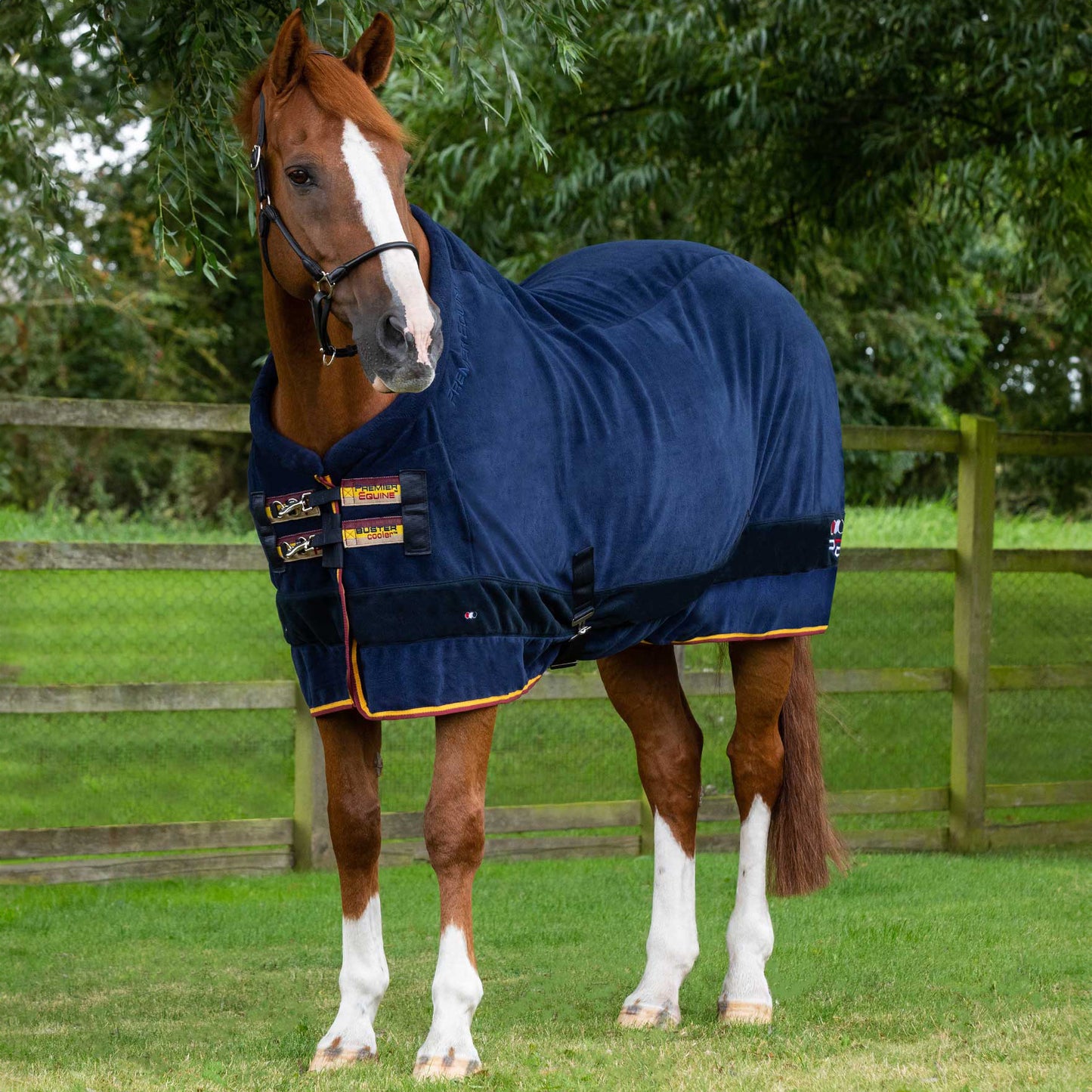 Couverture Séchante Buster Continental Edition Premier Equine – Polaire anti-boulochage 280g pour cheval