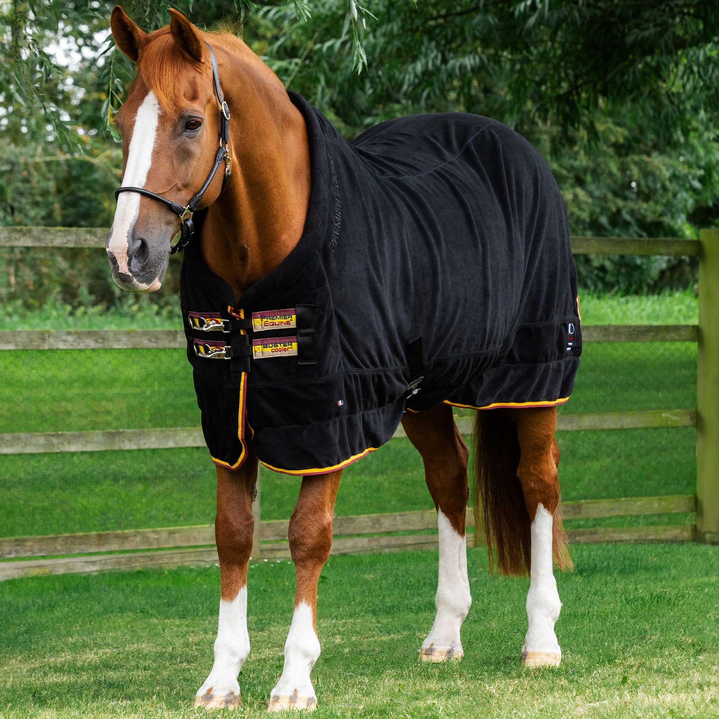 Couverture Séchante Buster Continental Edition Premier Equine – Polaire anti-boulochage 280g pour cheval
