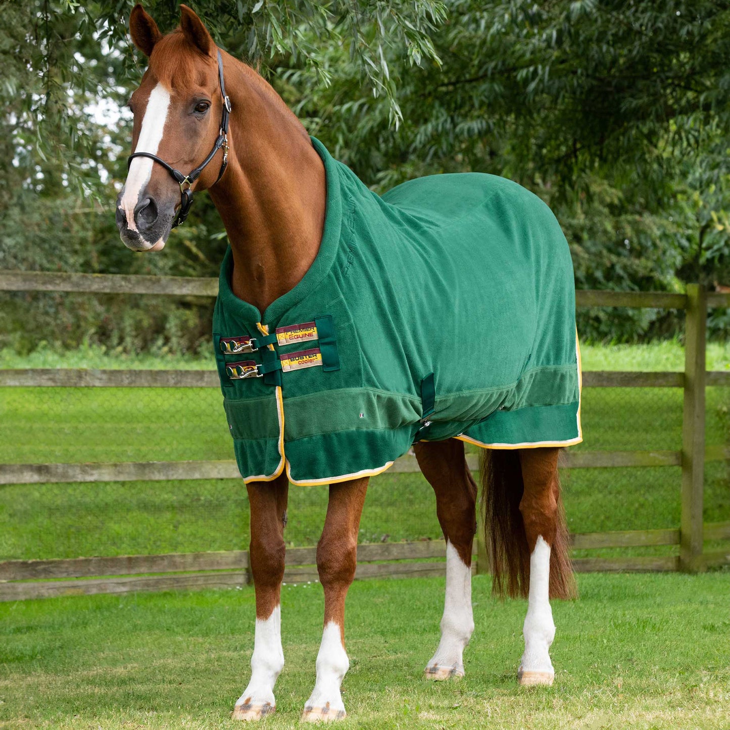 Couverture Séchante Buster Continental Edition Premier Equine – Polaire anti-boulochage 280g pour cheval
