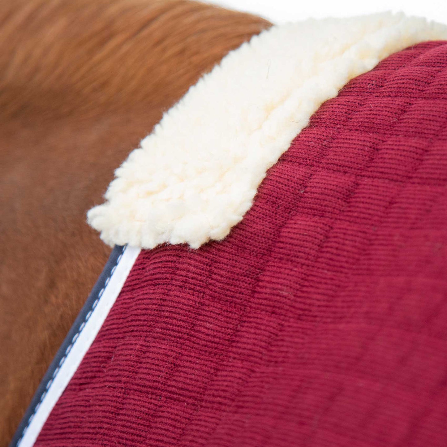 Couverture Séchante Premtex Premier Equine – Couverture technique respirante et absorbante pour cheval