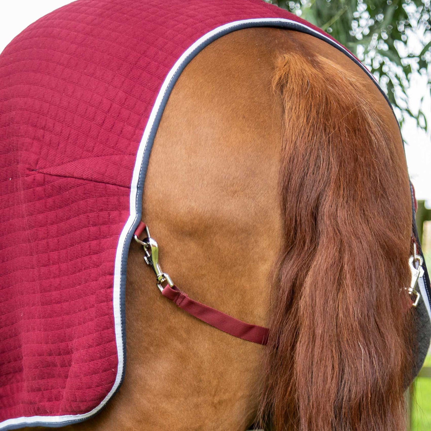 Couverture Séchante Premtex Premier Equine – Couverture technique respirante et absorbante pour cheval