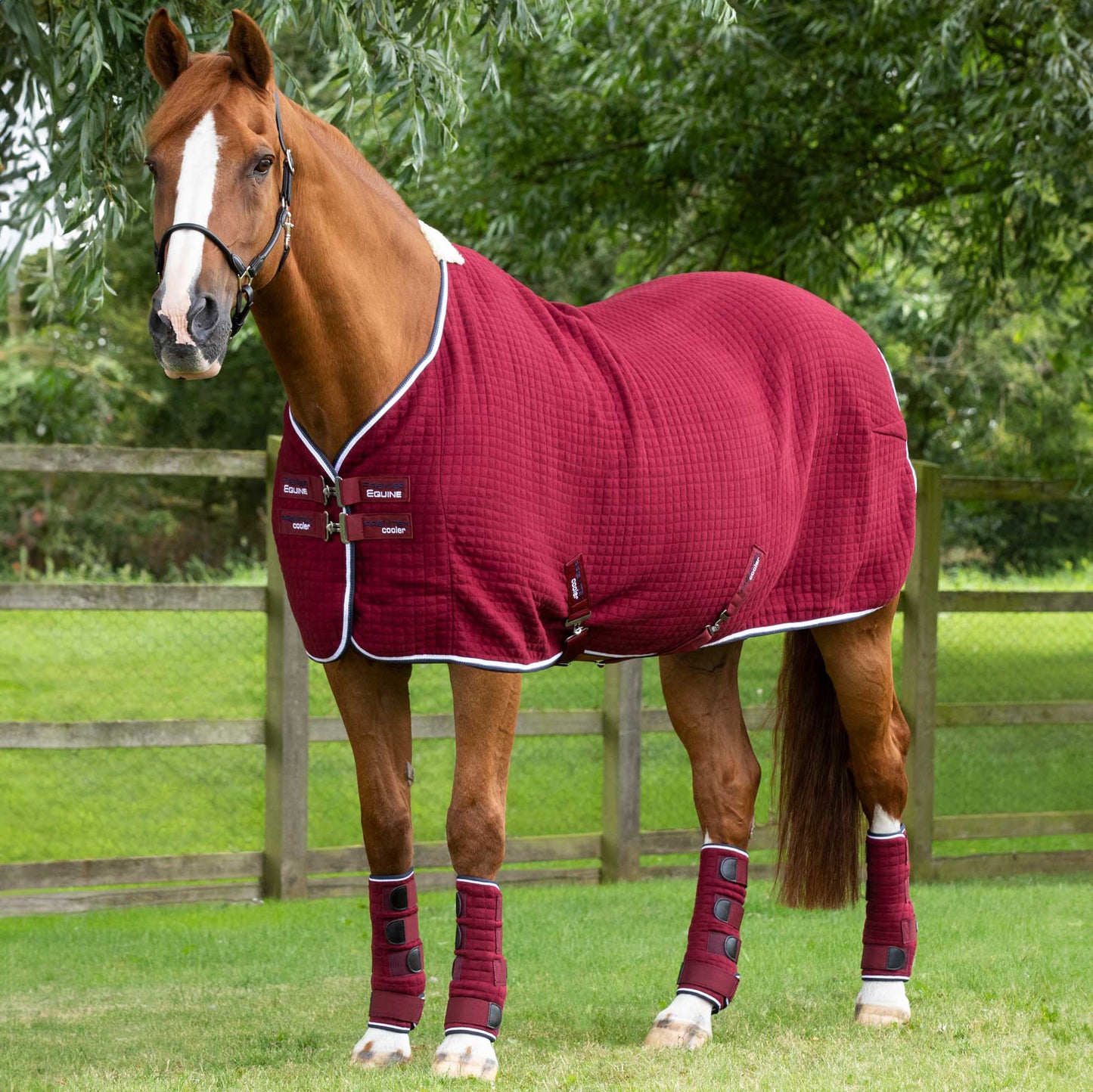 Couverture Séchante Premtex Premier Equine – Couverture technique respirante et absorbante pour cheval