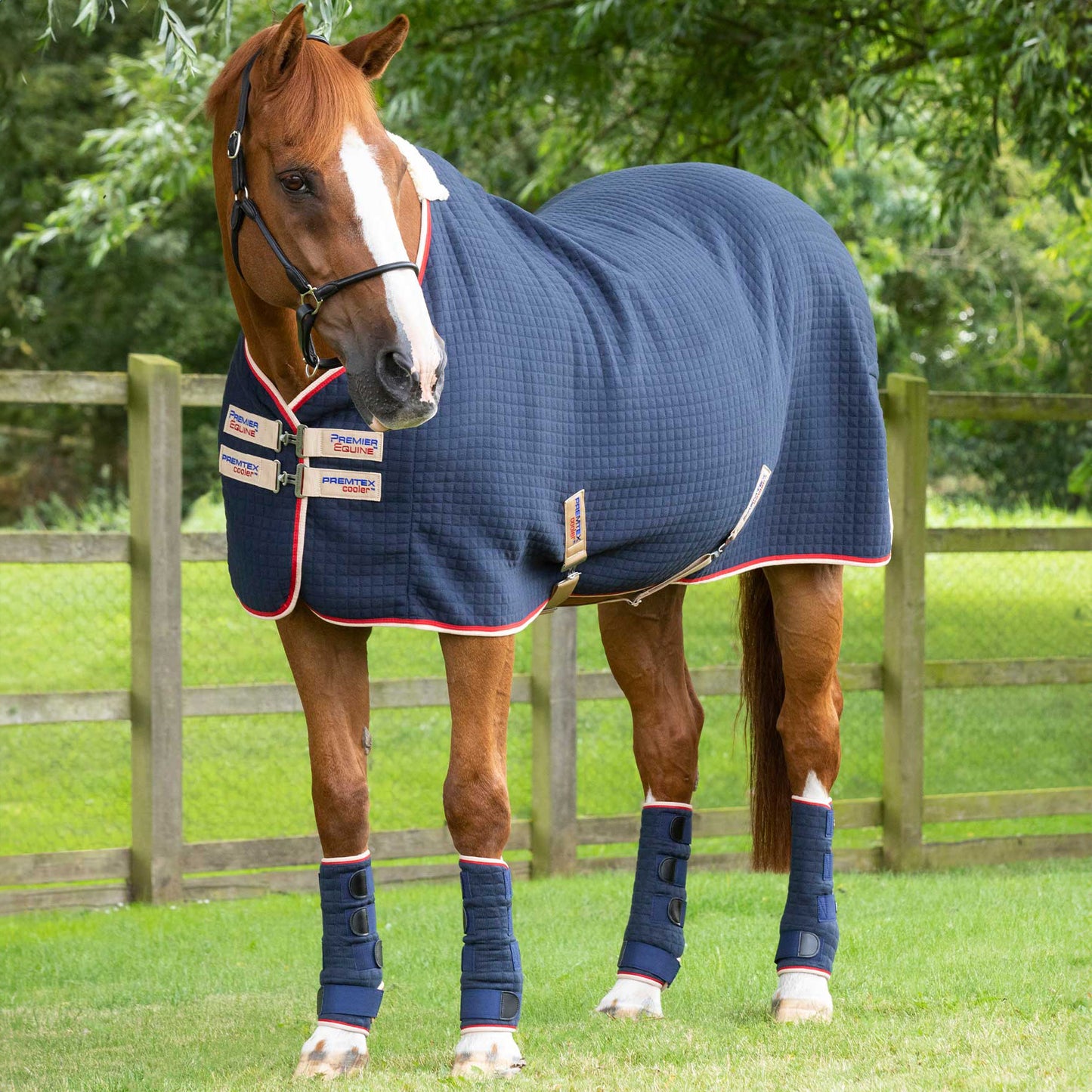 Couverture Séchante Premtex Premier Equine – Couverture technique respirante et absorbante pour cheval