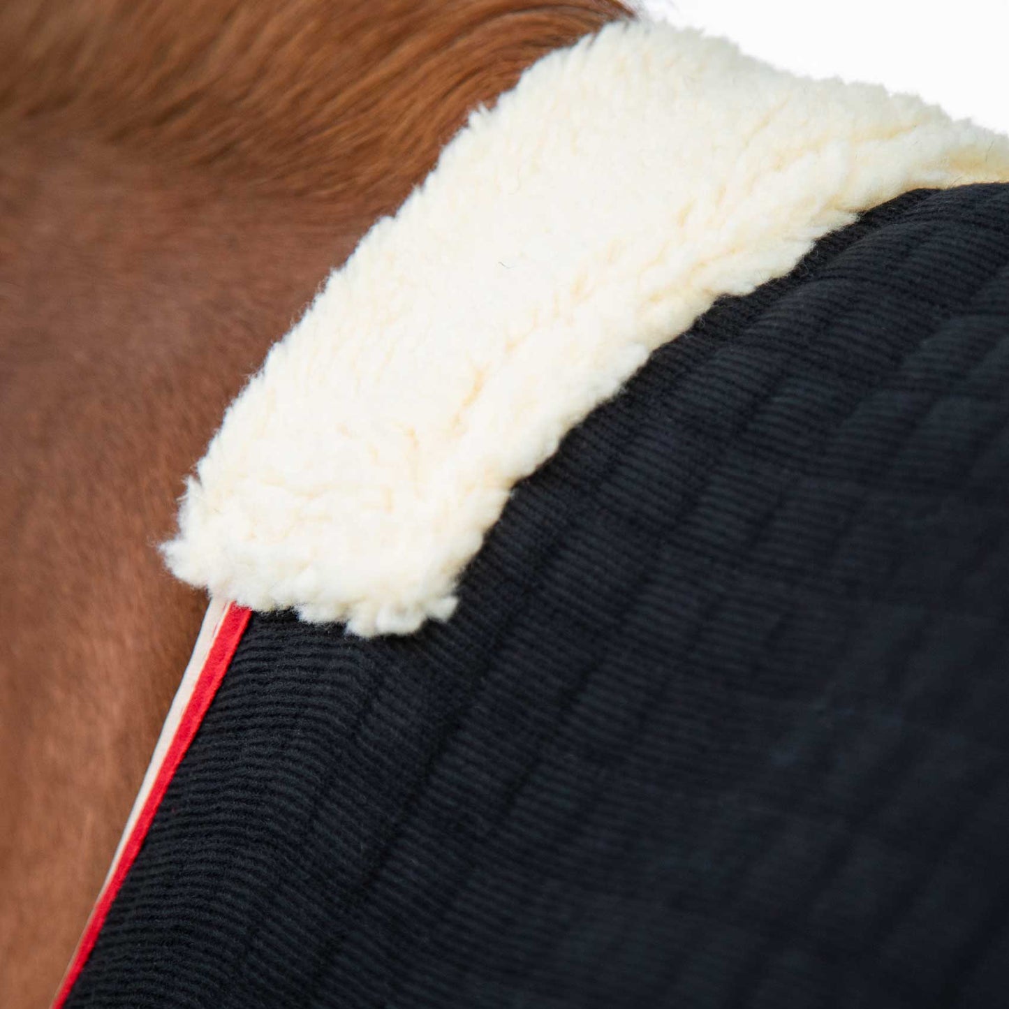 Couverture Séchante Premtex Premier Equine – Couverture technique respirante et absorbante pour cheval