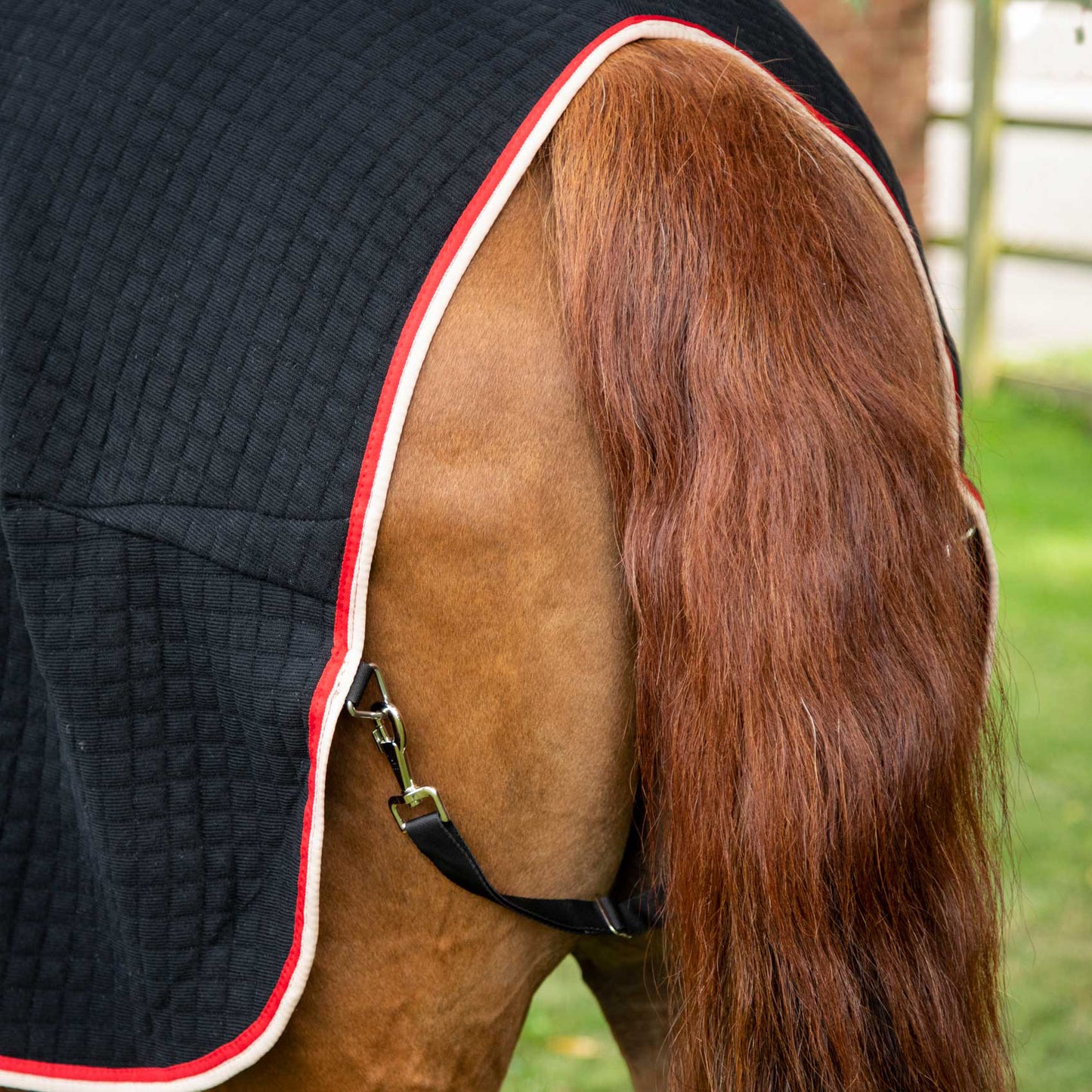 Couverture Séchante Premtex Premier Equine – Couverture technique respirante et absorbante pour cheval