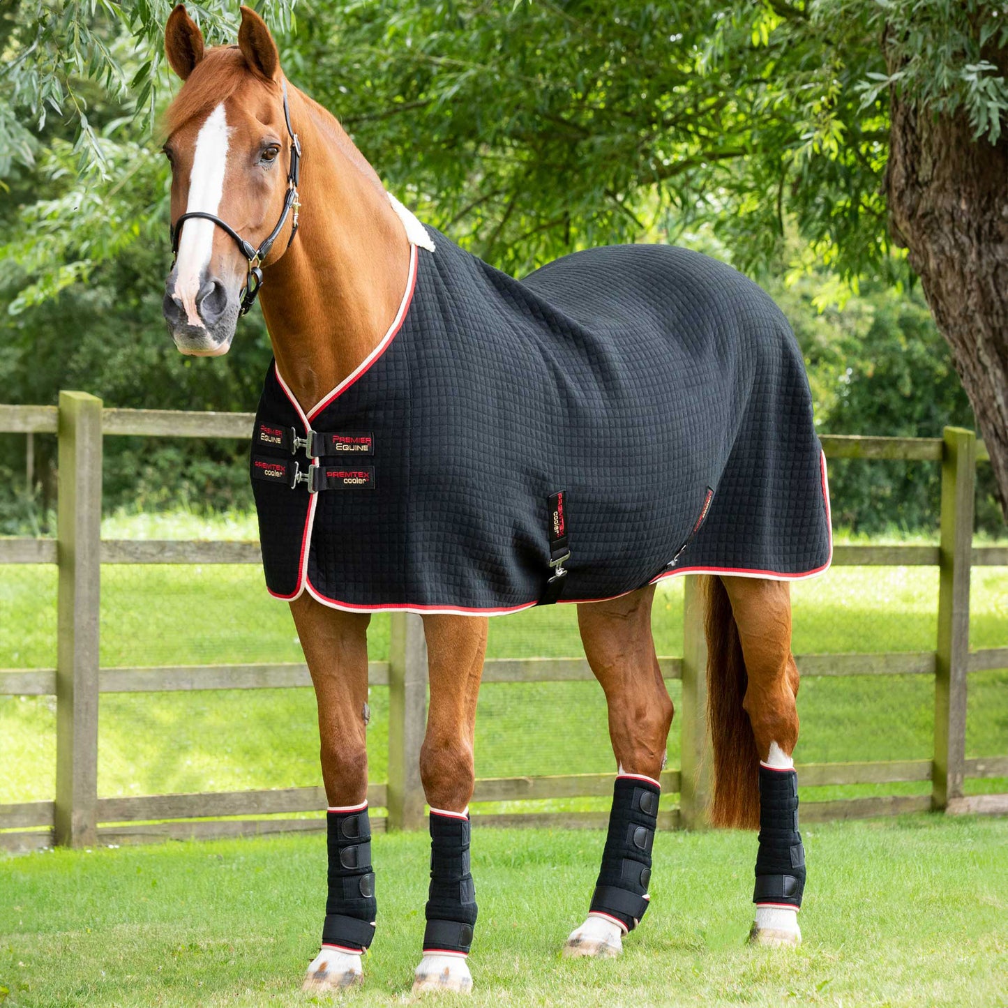 Couverture Séchante Premtex Premier Equine – Couverture technique respirante et absorbante pour cheval