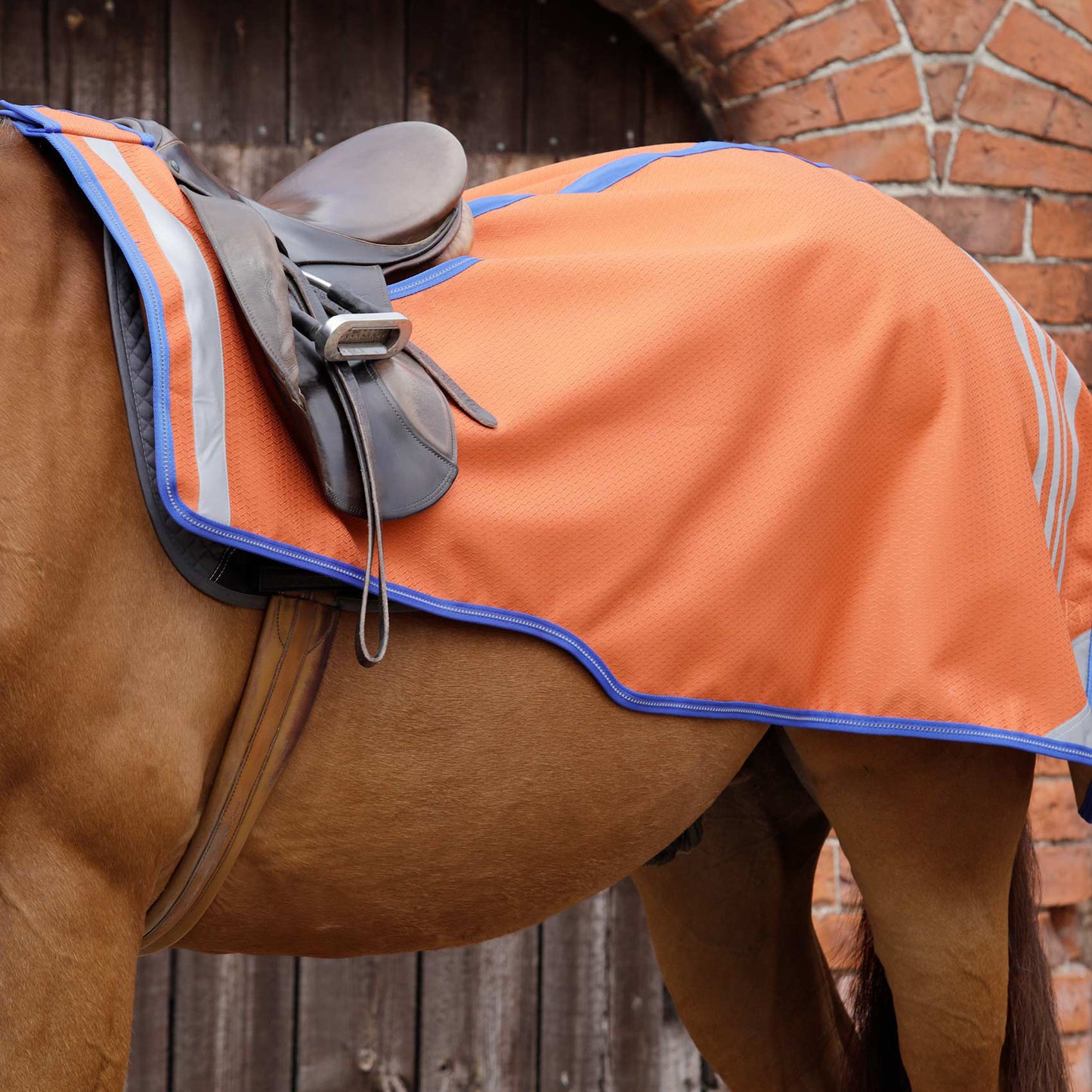 Couvre-Reins Stratus Reflective Premier Equine – Imperméable et Haute Visibilité