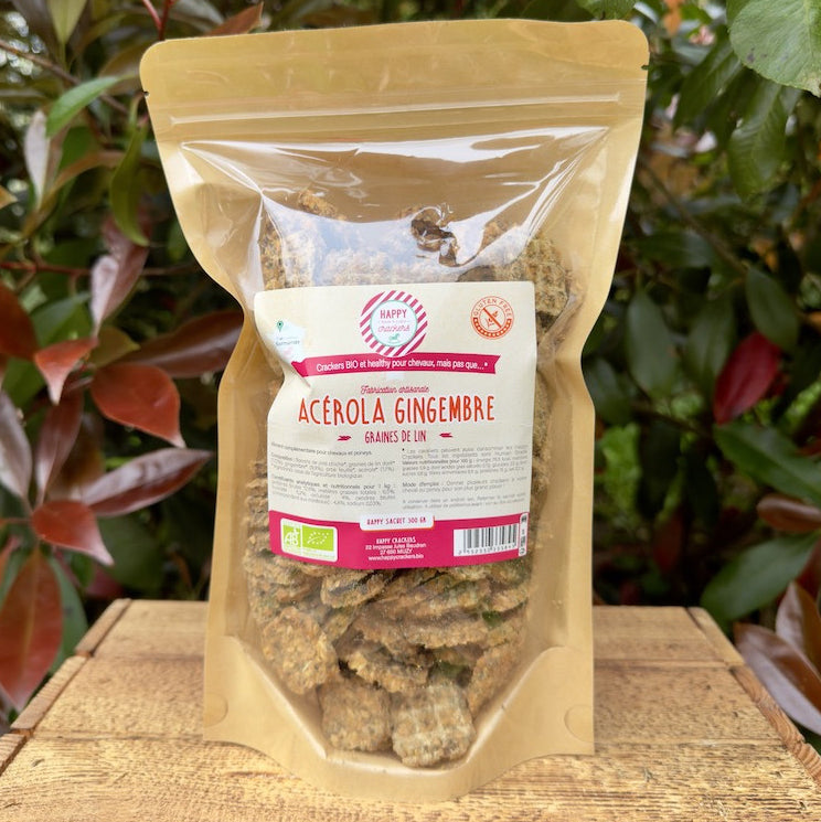 Crackers Cheval Acérola Gingembre Sans Céréales – Happy Crackers – Biscuits Bio Énergisants