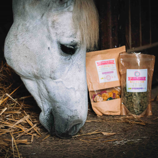 Crackers Cheval Ail des Ours – Happy Crackers – Biscuits Bio Détoxifiants et Sains