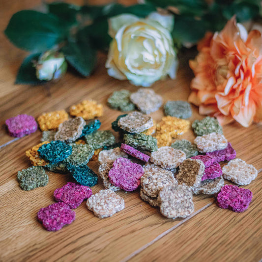 Crackers Cheval MIX 4 Recettes – Happy Crackers – Biscuits Bio Gourmands et Sains