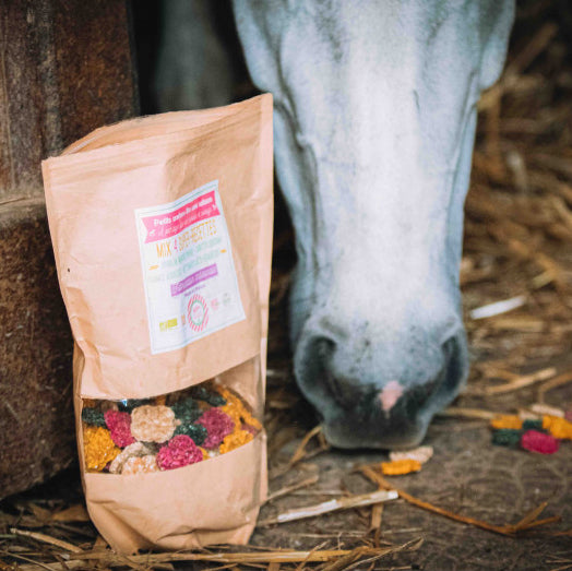 Crackers Cheval MIX 4 Recettes – Happy Crackers – Biscuits Bio Gourmands et Sains