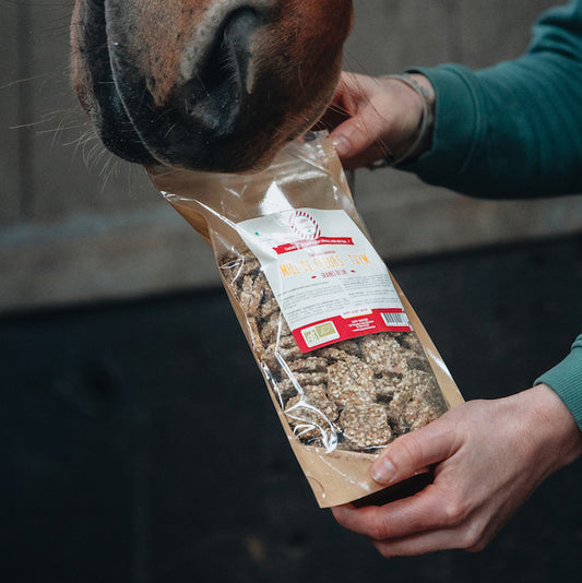 Crackers Cheval Miel Thym – Happy Crackers – Biscuits Bio Sains & Gourmands