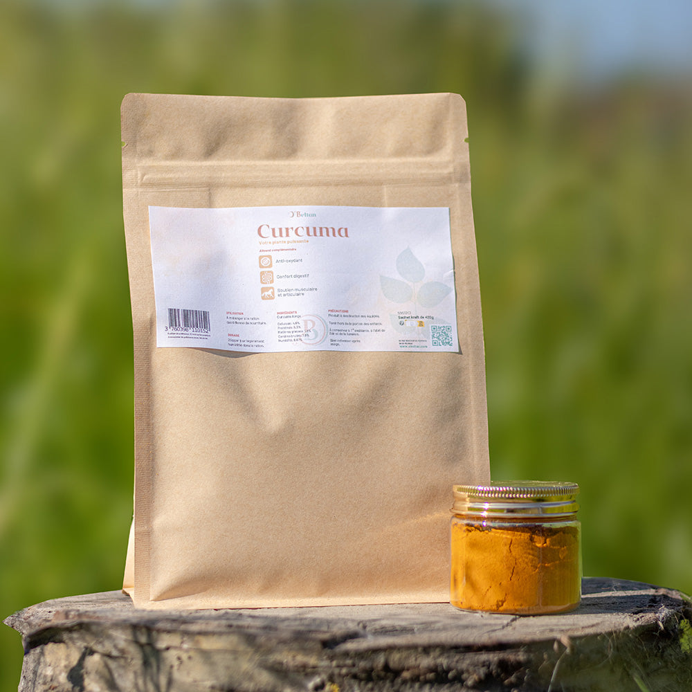 Curcuma cheval – Anti-inflammatoire naturel & soutien immunitaire | O’BELTAN