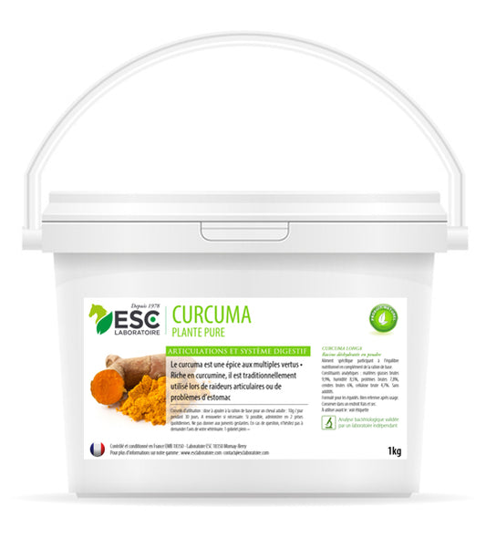 Curcuma – Articulations & Digestion Cheval | Plante Pure Anti-inflammatoire ESC