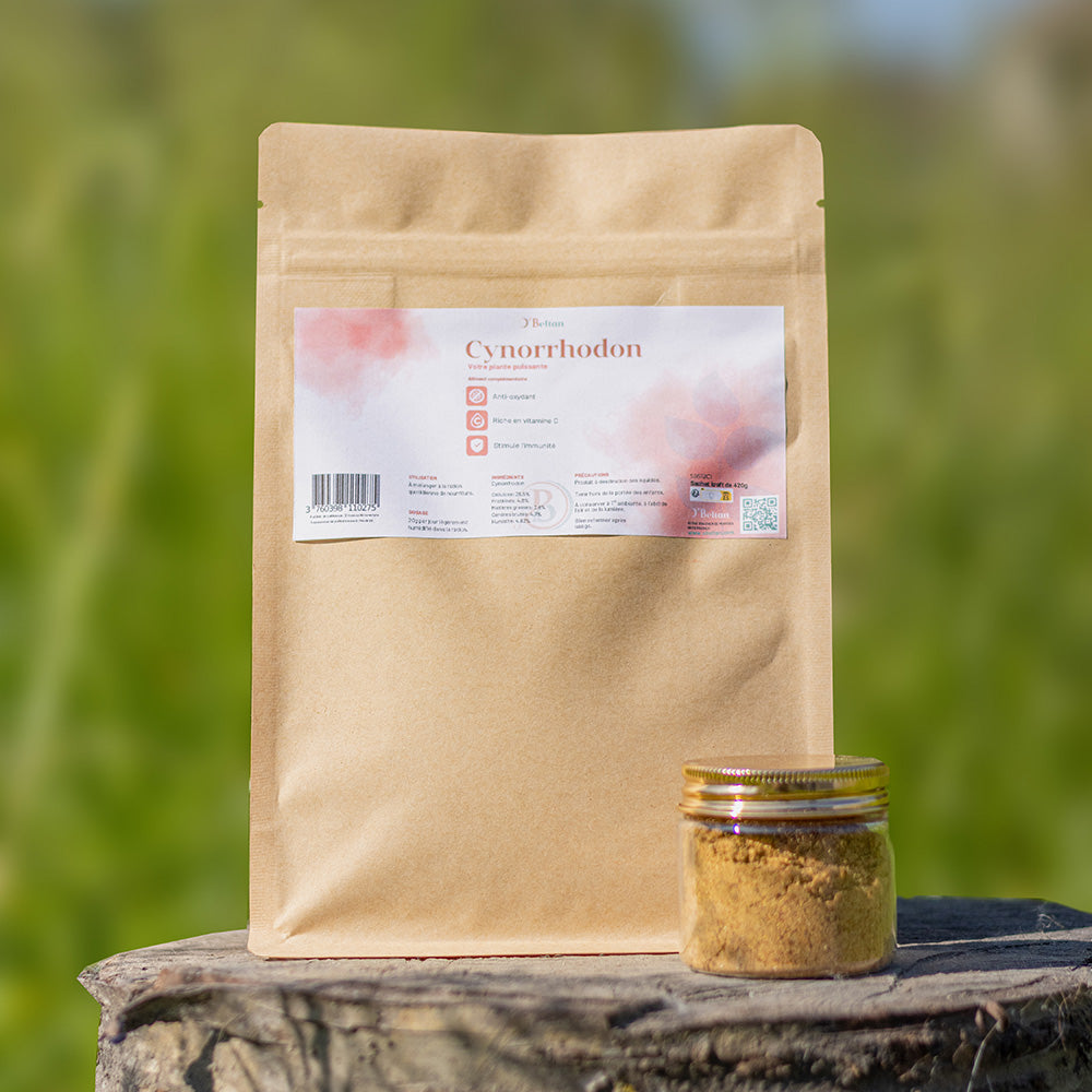 Cynorrhodon pour chevaux – Anti-oxydant naturel & tonique | O’BELTAN