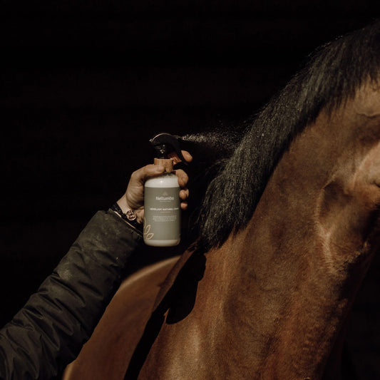 Démêlant Naturel Crins Cheval - Hydrate et Fait Briller | Nellumbo