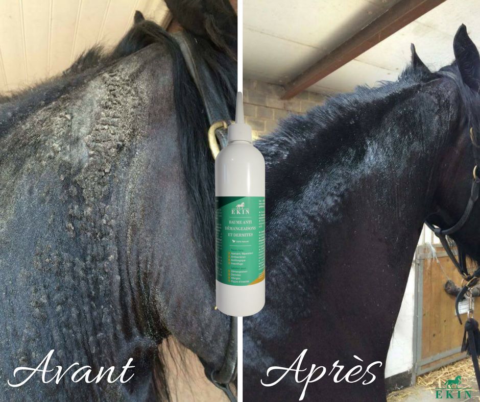 Baume Anti-Démangeaisons et Dermites EKIN – Apaise et Hydrate la Peau du Cheval