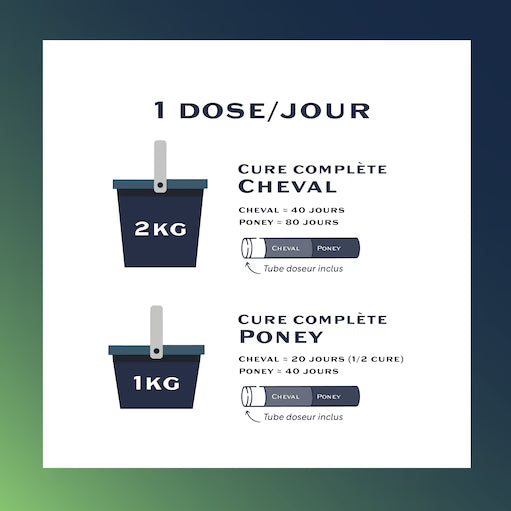 Equi-Immuno+ – Complément naturel pour renforcer le système immunitaire du cheval - Equimojo