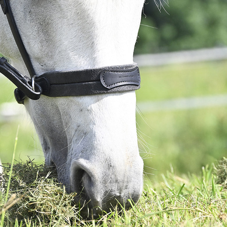 Bridon IHWT Evolution Bitless Soft T Contact Frontal Disco – Confort et liberté pour votre cheval