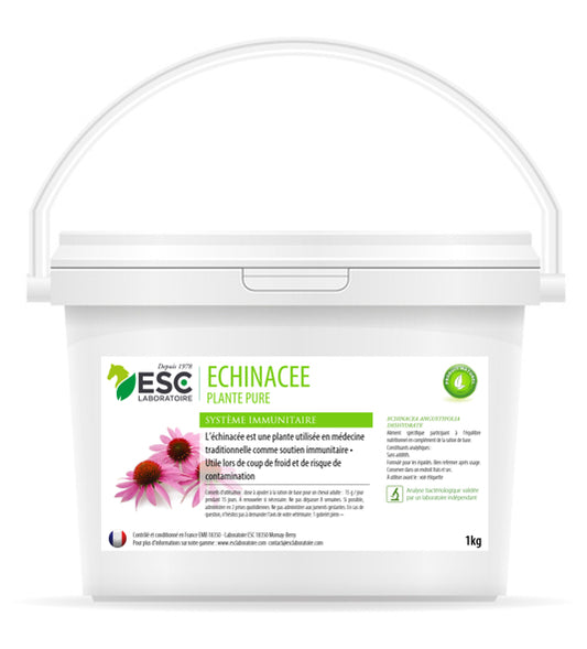 Echinacée cheval – Plante pure pour défenses immunitaires et vitalité – ESC Laboratoire