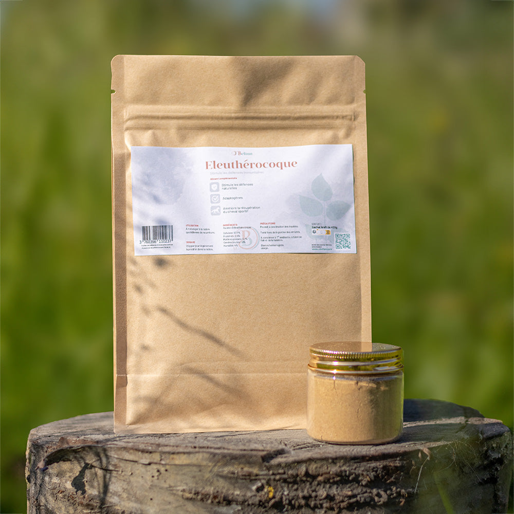 Éleuthérocoque pour chevaux – Récupération et immunité naturelle | O’BELTAN