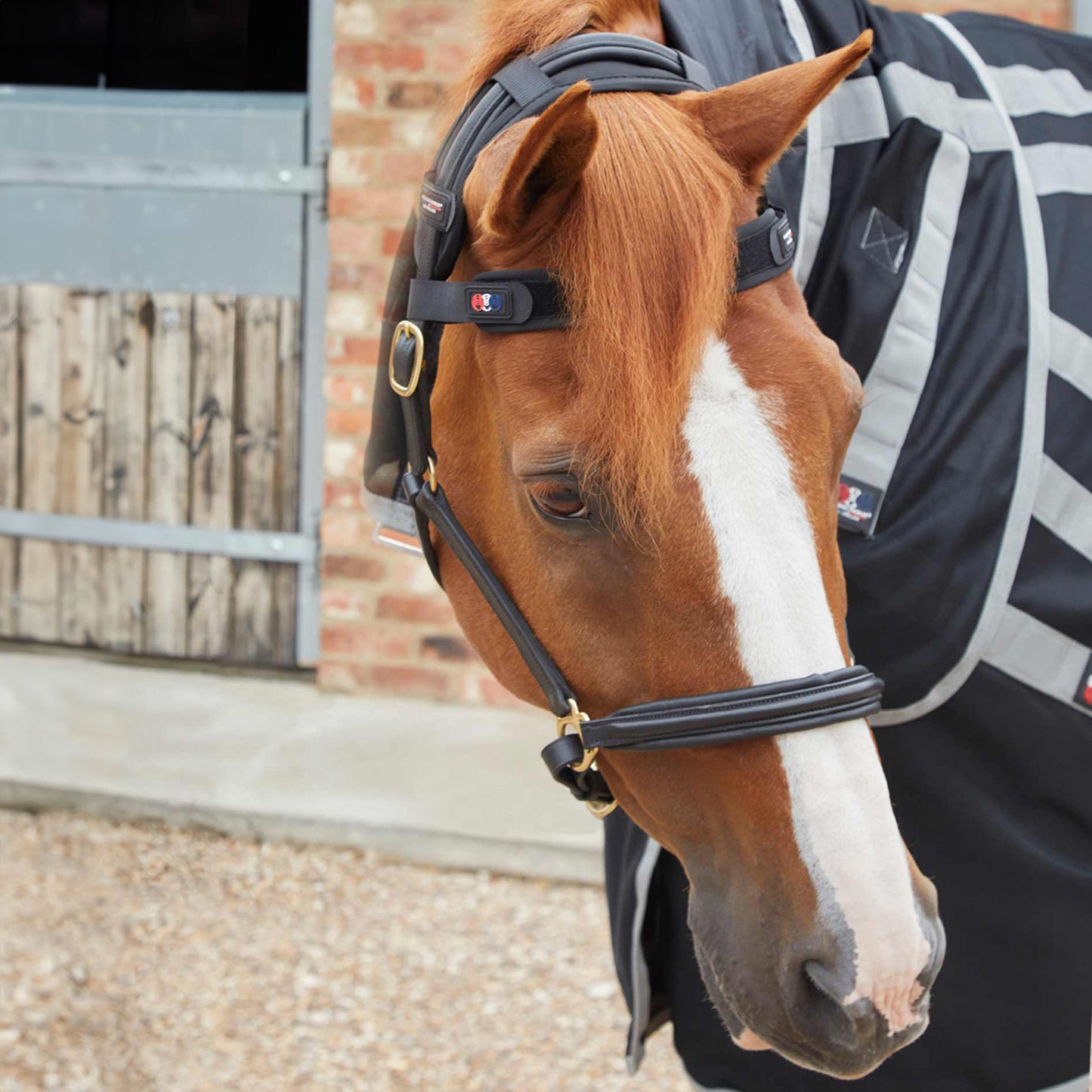 Frontal Magnétique Premier Equine Magni-Teque – Réduction du Stress et Bien-Être Équin