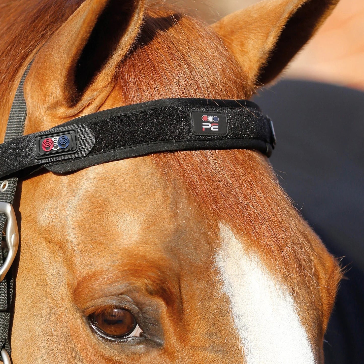 Frontal Magnétique Premier Equine Magni-Teque – Réduction du Stress et Bien-Être Équin