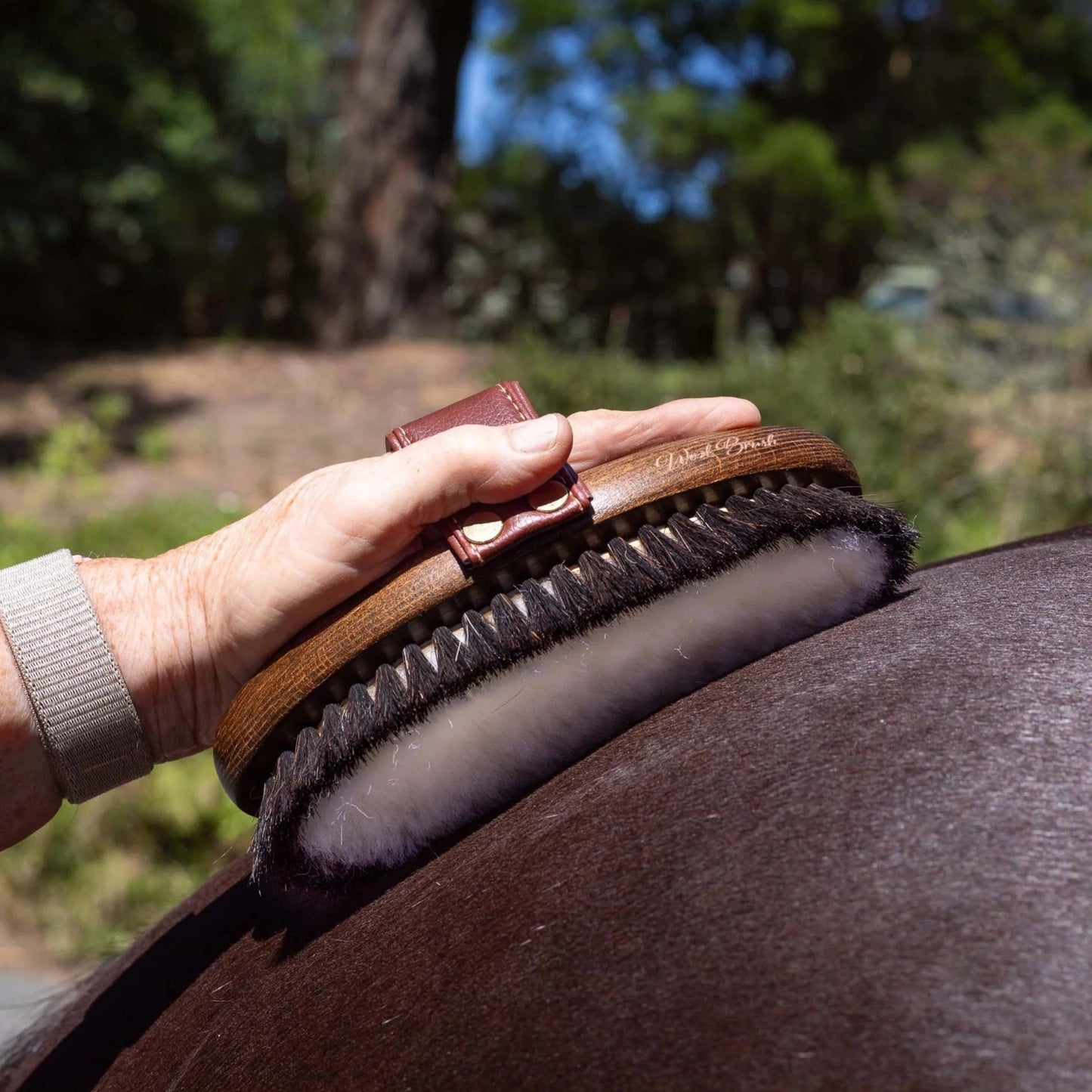 Brosse douce en laine