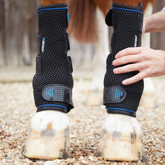 Guêtres Cold Water Compression Premier Equine – Refroidissement et Récupération Équine