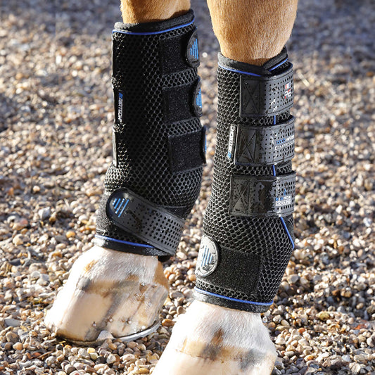 Guêtres Cold Water Compression Premier Equine – Refroidissement et Récupération Équine