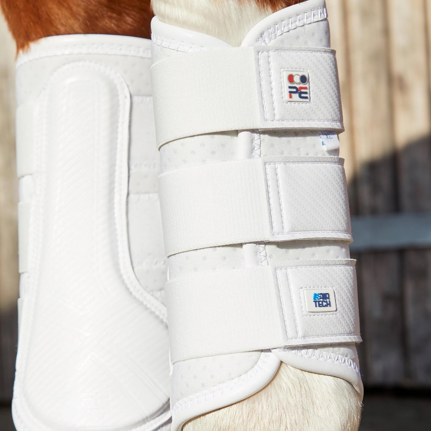 Guêtres de Dressage Premier Equine Carbon Air-Tech – Protection Ventilée à Fermeture Simple