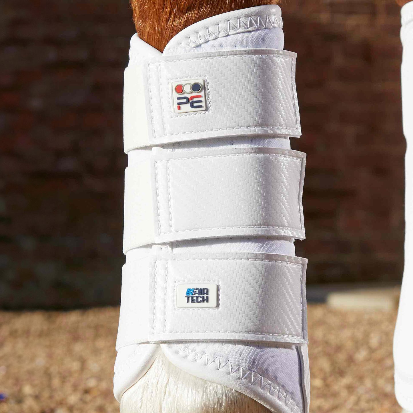 Guêtres de Dressage Premier Equine Carbon Air-Tech – Protection Ventilée à Fermeture Simple