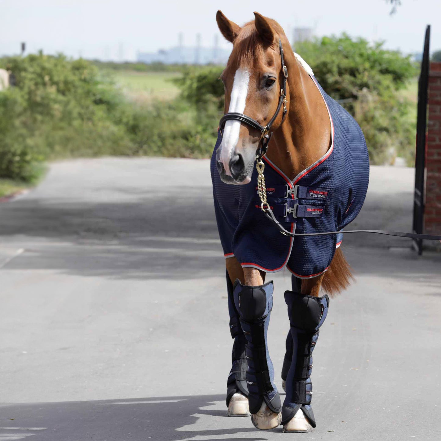 Guêtres de Transport Pro-Tech Genou Airtechnology Premier Equine – Protection et Confort