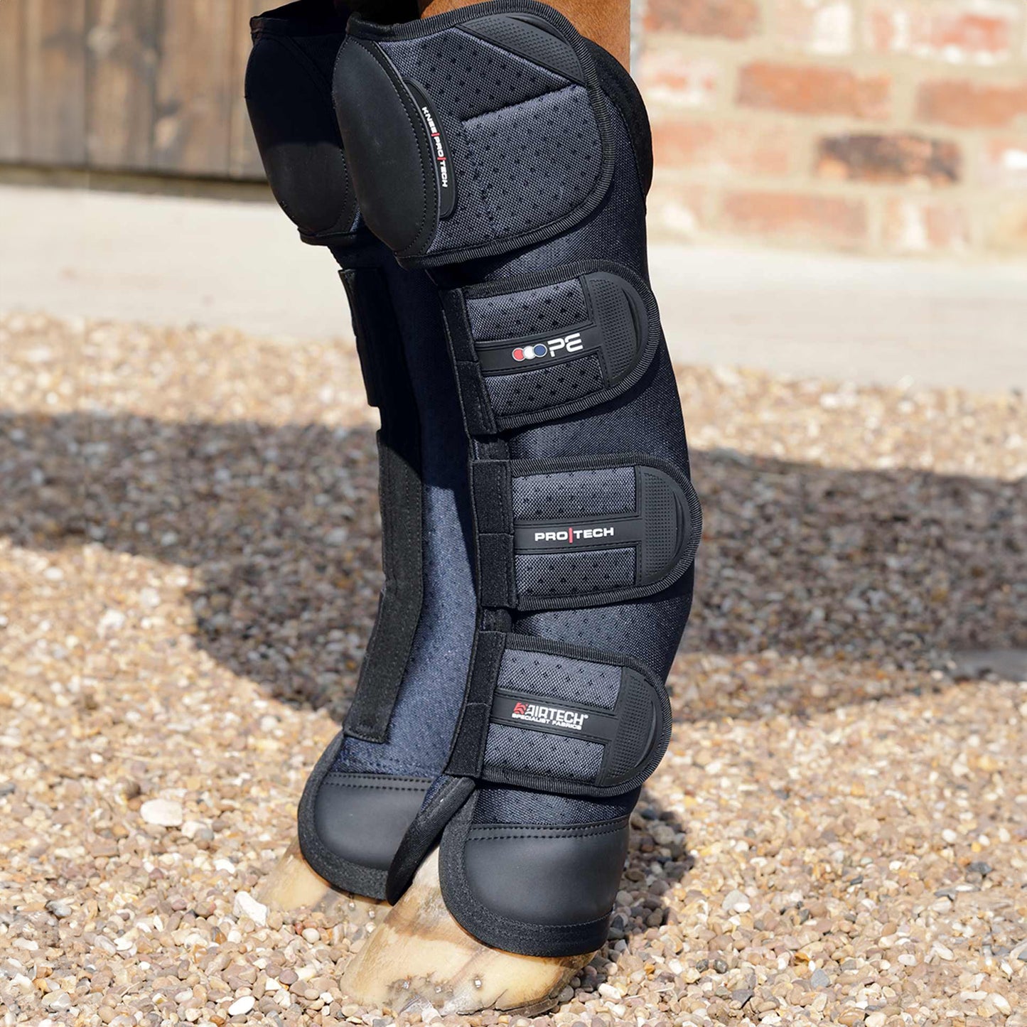 Guêtres de Transport Pro-Tech Genou Airtechnology Premier Equine – Protection et Confort
