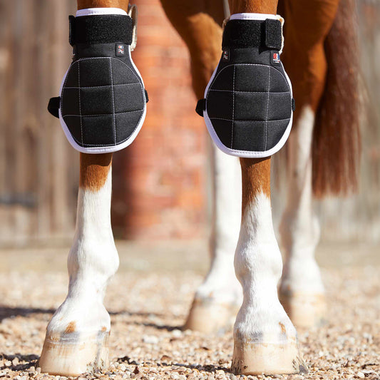 Guêtres Magnétiques Premier Equine Magni-Teque Genoux – Soutien et Récupération Équine