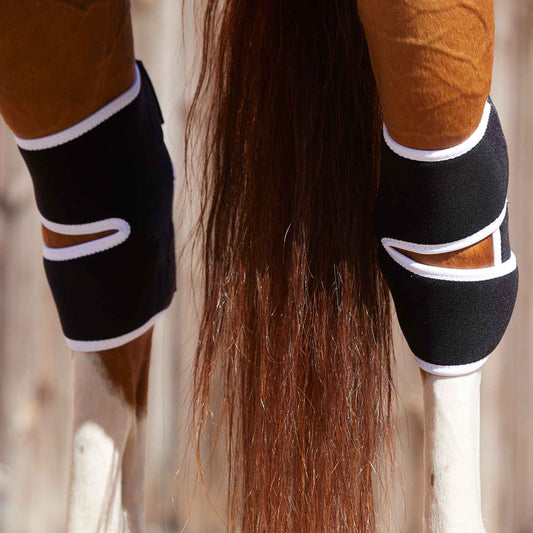 Protège-jarrets Magnétiques Premier Equine Magni-Teque – Soutien et Récupération Équine