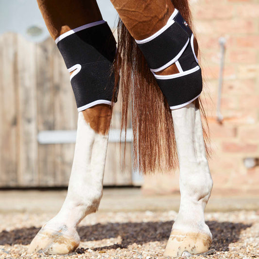 Protège-jarrets Magnétiques Premier Equine Magni-Teque – Soutien et Récupération Équine