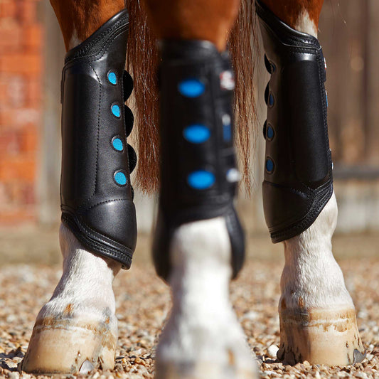 Guêtres Postérieures Air Cooled Premier Equine – Protection et Ventilation Haute Performance