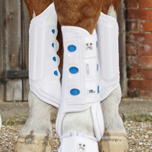 Guêtres Postérieures Air Cooled Premier Equine – Protection et Ventilation Haute Performance