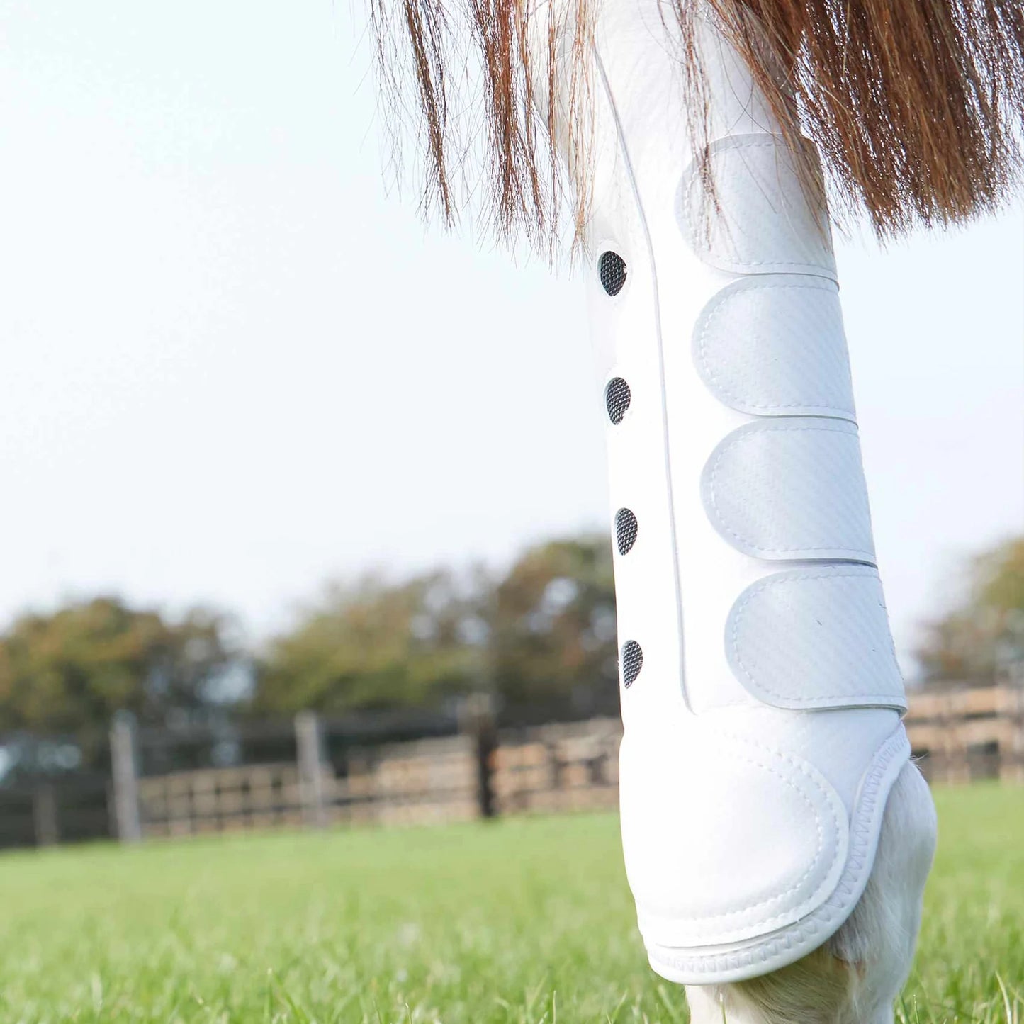 Guêtres Postérieures Carbon Tech Air Cooled Premier Equine – Protection et Ventilation Avancée