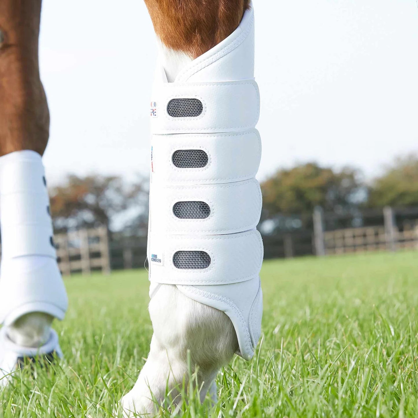 Guêtres Postérieures Carbon Tech Air Cooled Premier Equine – Protection et Ventilation Avancée