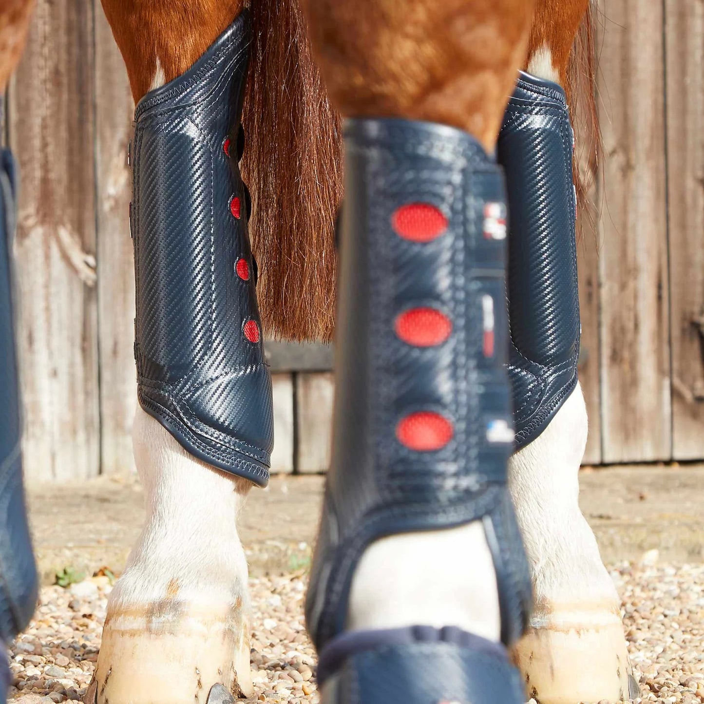 Guêtres Postérieures Carbon Tech Air Cooled Premier Equine – Protection et Ventilation Avancée