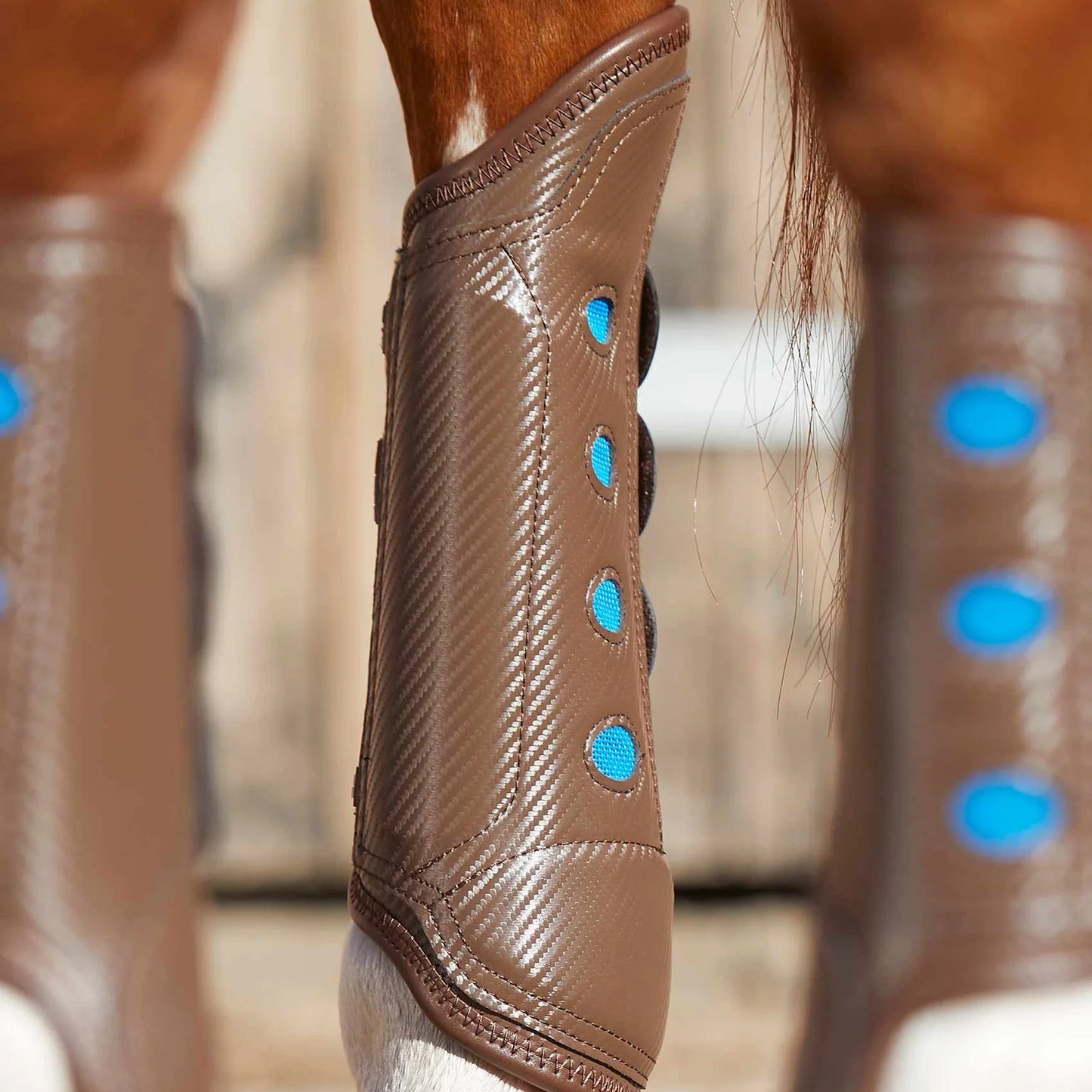 Guêtres Postérieures Carbon Tech Air Cooled Premier Equine – Protection et Ventilation Avancée