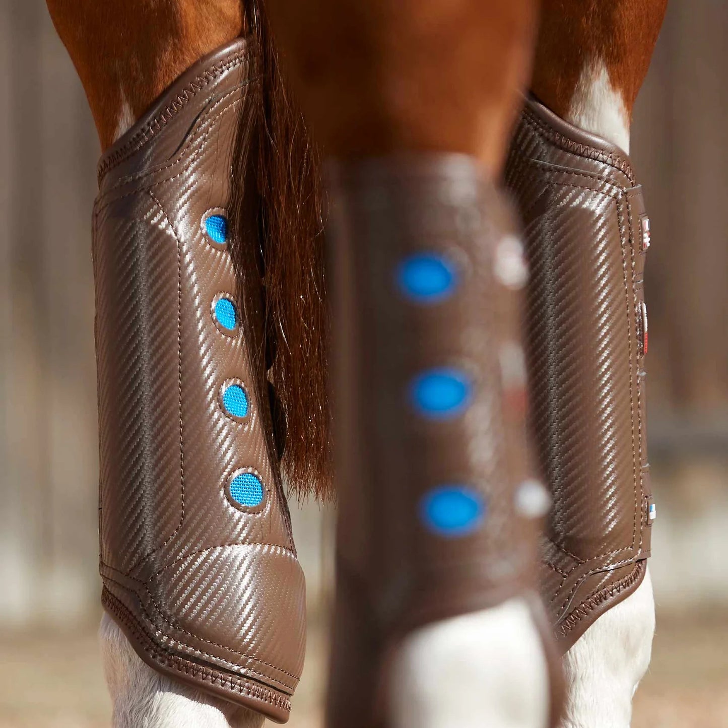 Guêtres Postérieures Carbon Tech Air Cooled Premier Equine – Protection et Ventilation Avancée