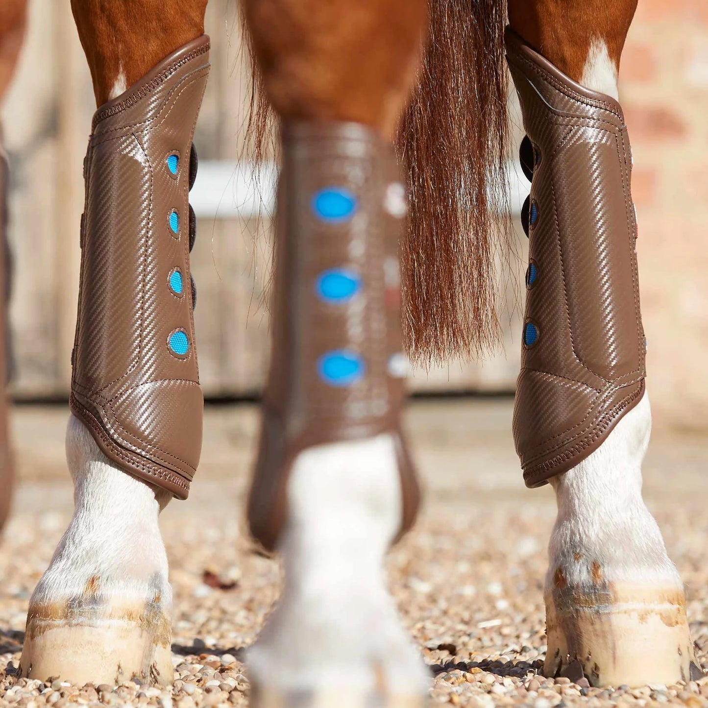 Guêtres Postérieures Carbon Tech Air Cooled Premier Equine – Protection et Ventilation Avancée