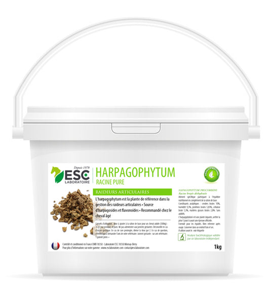 Harpagophytum – Raideurs & Sensibilité Articulaire Cheval | Plante Pure Anti-inflammatoire ESC