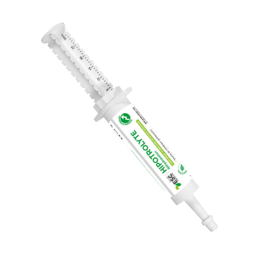 Hippotrolyte Flash cheval – Récupération rapide et électrolytes en seringue ESC