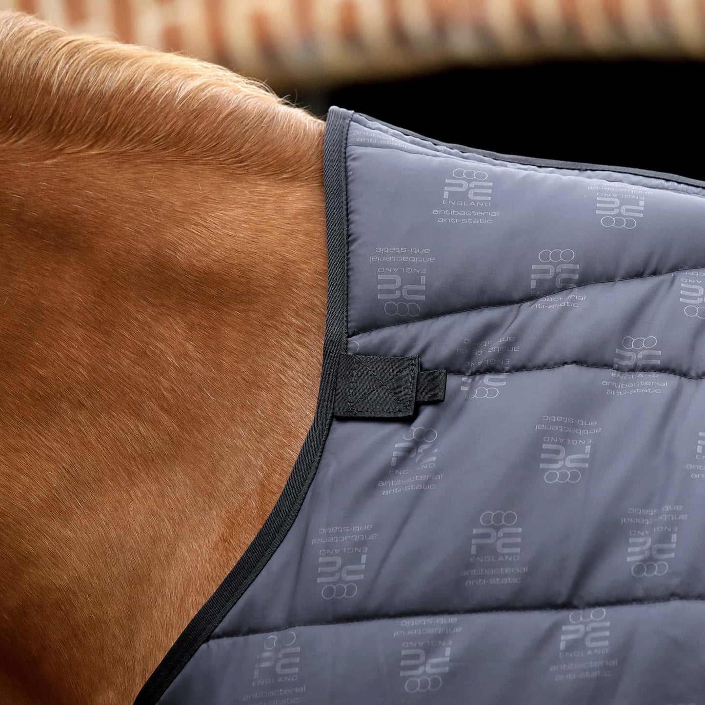 Sous-couverture Lucanta 250g – Liner chaud avec coussinets de garrot pour cheval Premier Equine