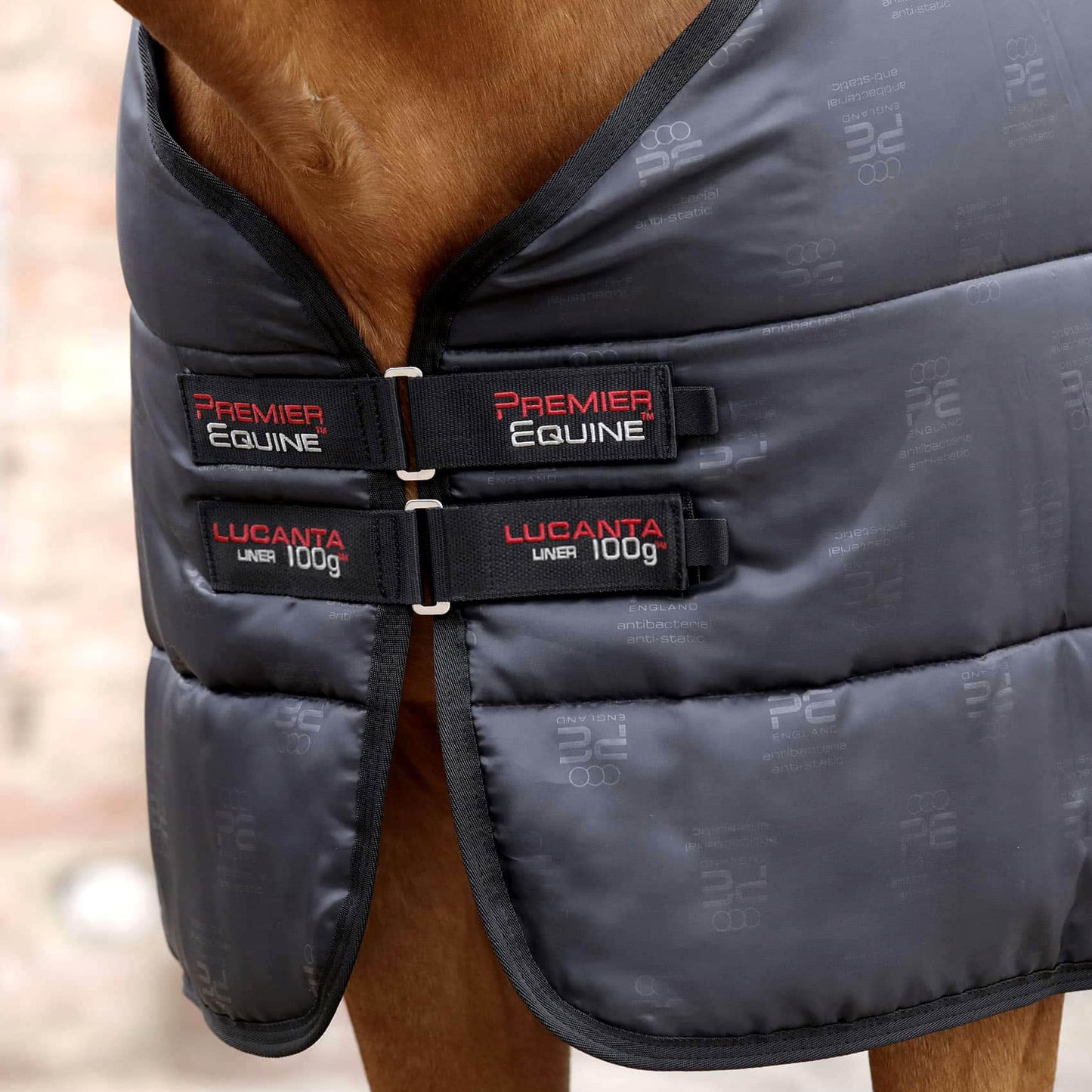 Sous-couverture Lucanta 250g – Liner chaud avec coussinets de garrot pour cheval Premier Equine